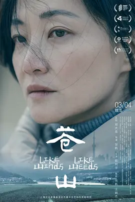 苍山2023