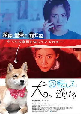 狗转了一圈 逃跑了