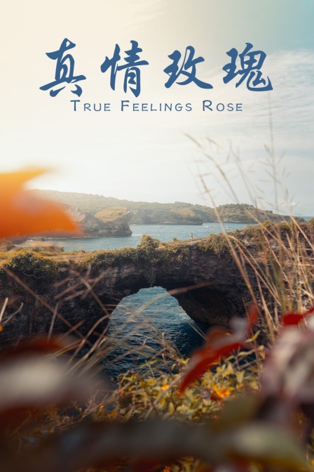 真情玫瑰